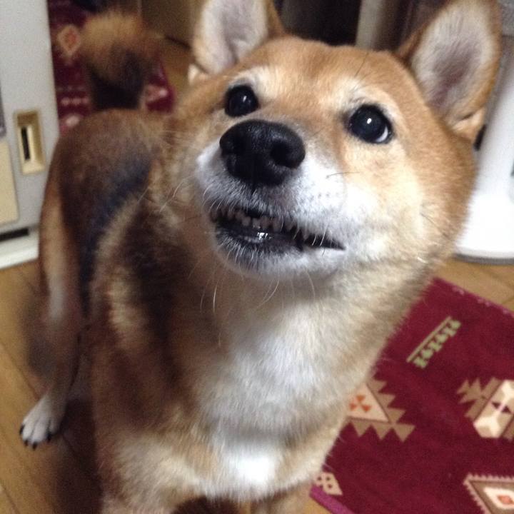 C4e862fe b9f7 4e8b a9d6 ebc50777fc47