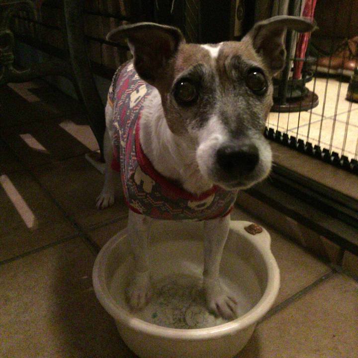 C4e9bb8d cf82 42fe 8770 1357bdb29557