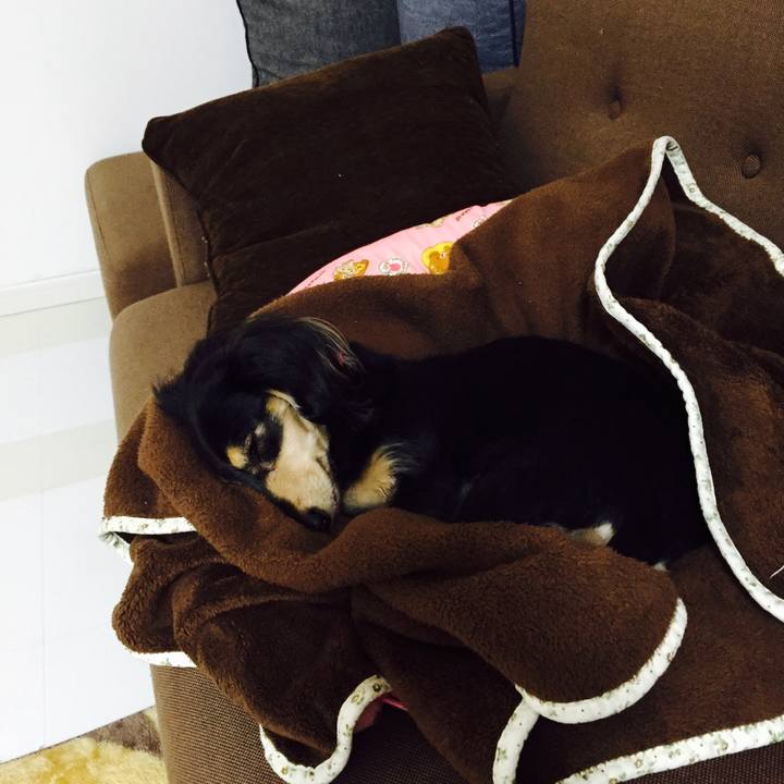 C4e9ce55 cea1 432e abd5 e5c3cf1904a1