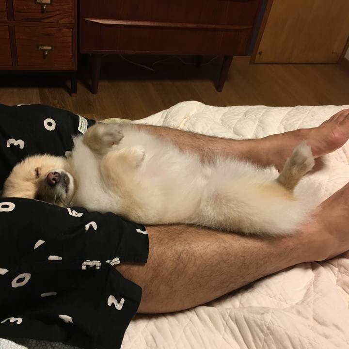 C4ea65fb d3a4 4424 a519 120fb0f2b612