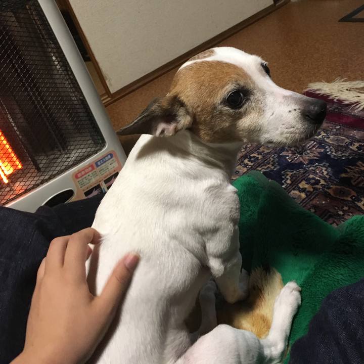 C4ea6f58 259b 4ffc a2e7 5cf314bcd2a7