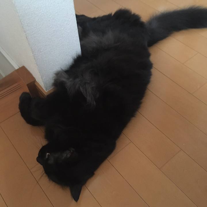 C4eaeabe 7cea 4ac4 b8bb 851b1d8ea64f