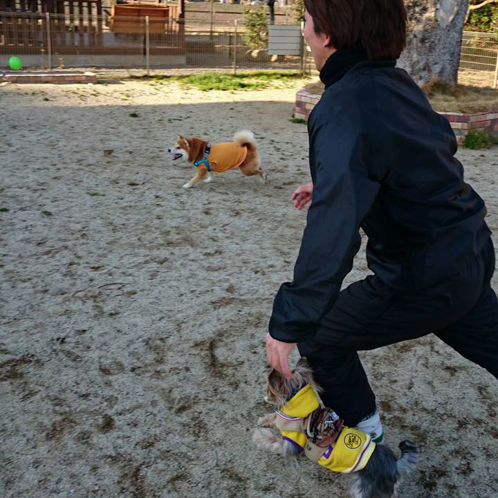 C4eb3d06 d84a 4bf4 be3b a3a1fd3b0183