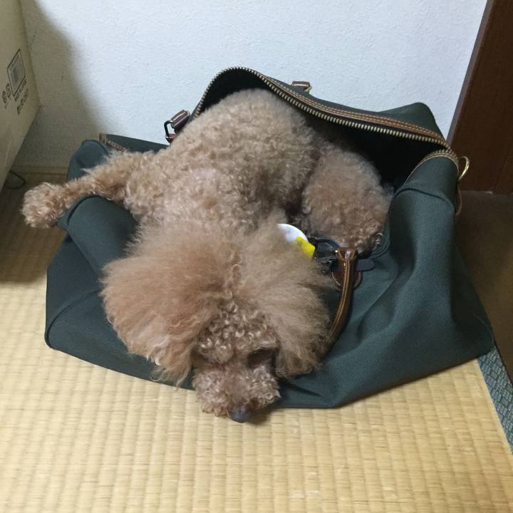 C4eb89a5 7bf5 452d 8606 95ae9778fe6f