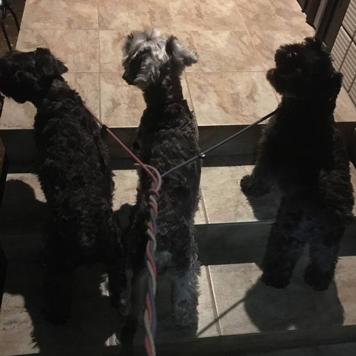 C4ec3f9d 9d91 4c00 be14 0b14a57316af