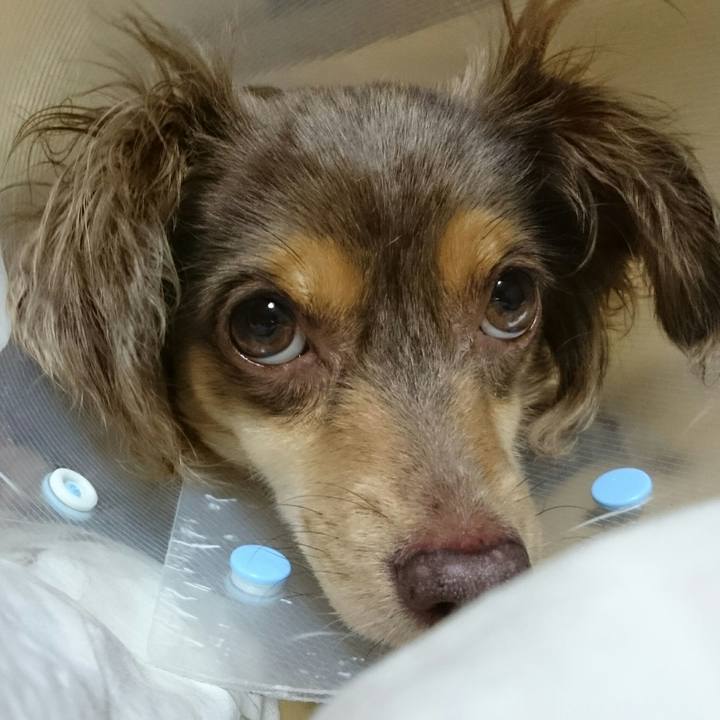 C4ed2e02 ee7e 44e3 9796 15f2d2418055