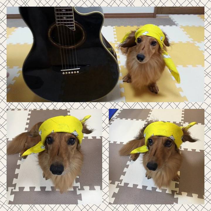 C4ed6031 8563 4839 b075 8122332f3e8a