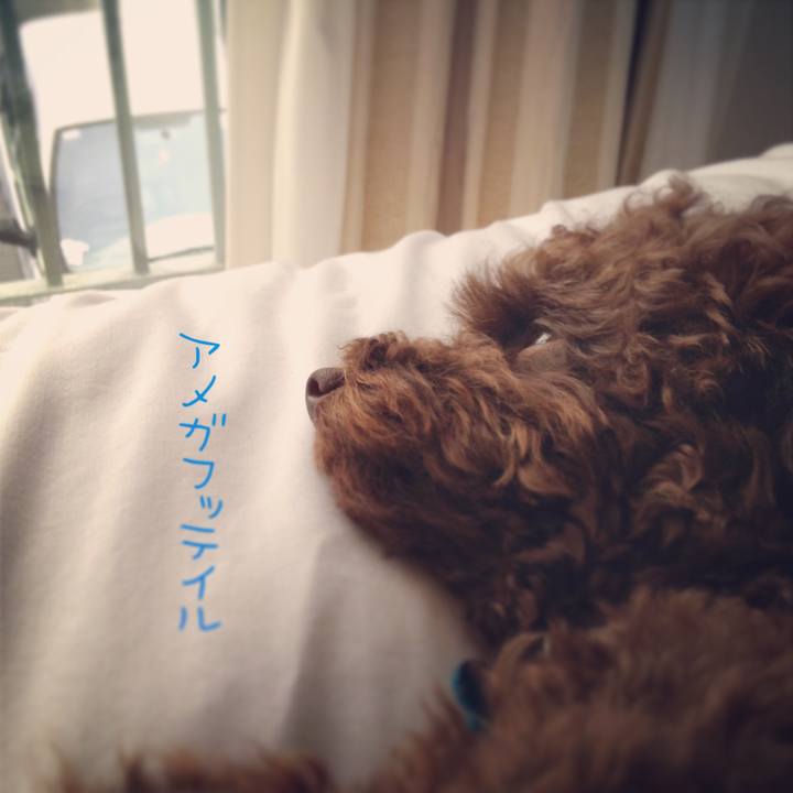 C4ee01f7 33c3 40de 8c4b 8051e63ba0da