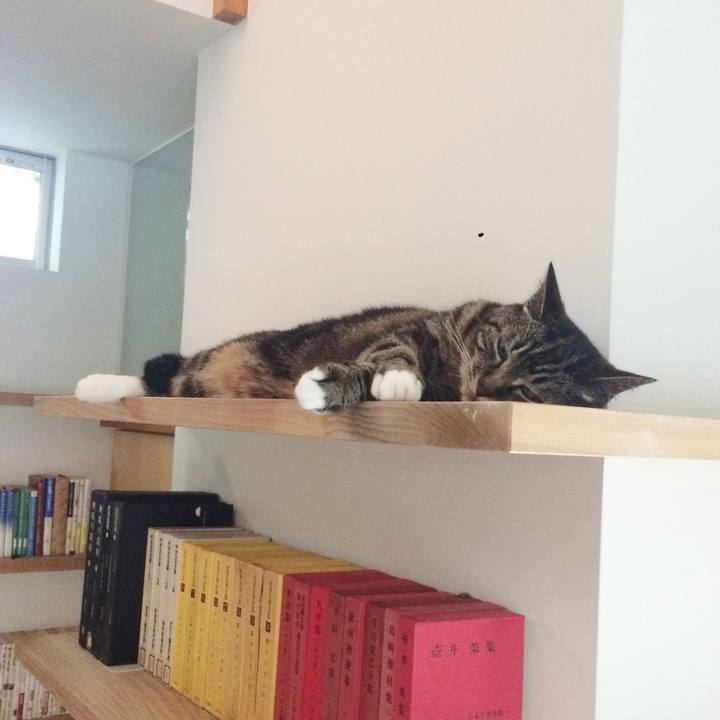 C4ee41a8 665b 4ef6 a344 5e618f4c23e7