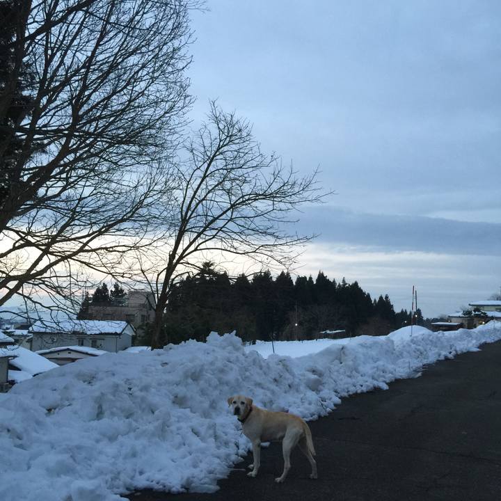 C4eec6f0 fa20 42aa 9f2d 304edd54422f