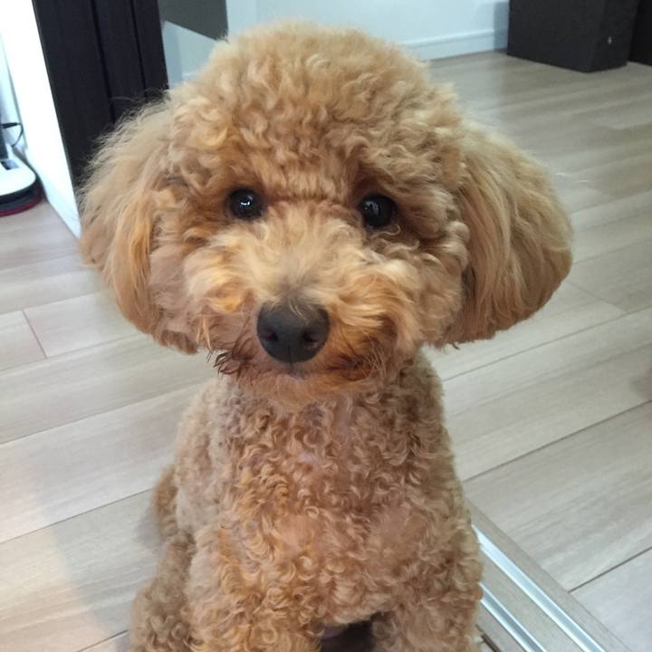 C4ef5430 c267 4ed0 af7a 7b85a55718db