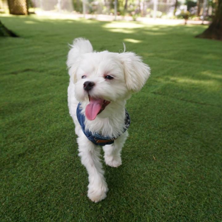 C4ef9a23 003e 4cd3 89f2 e6b68f695ee7