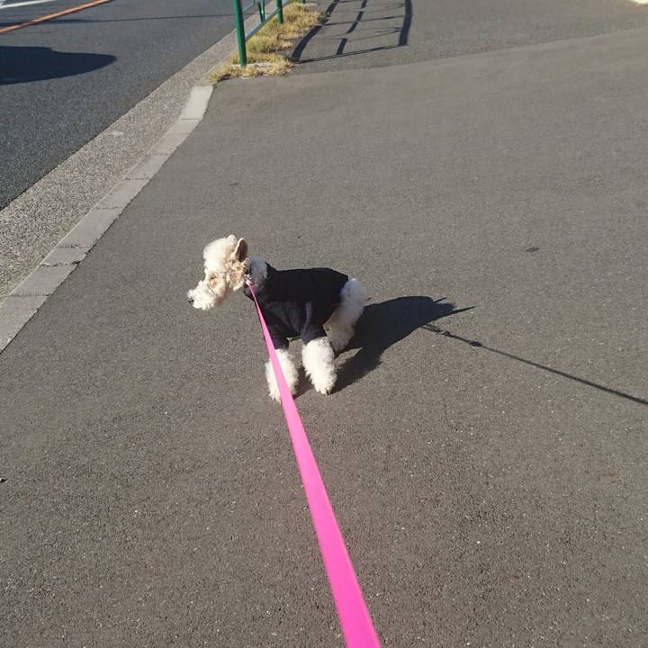 C4f018b5 2849 4812 a528 a69583b64d40