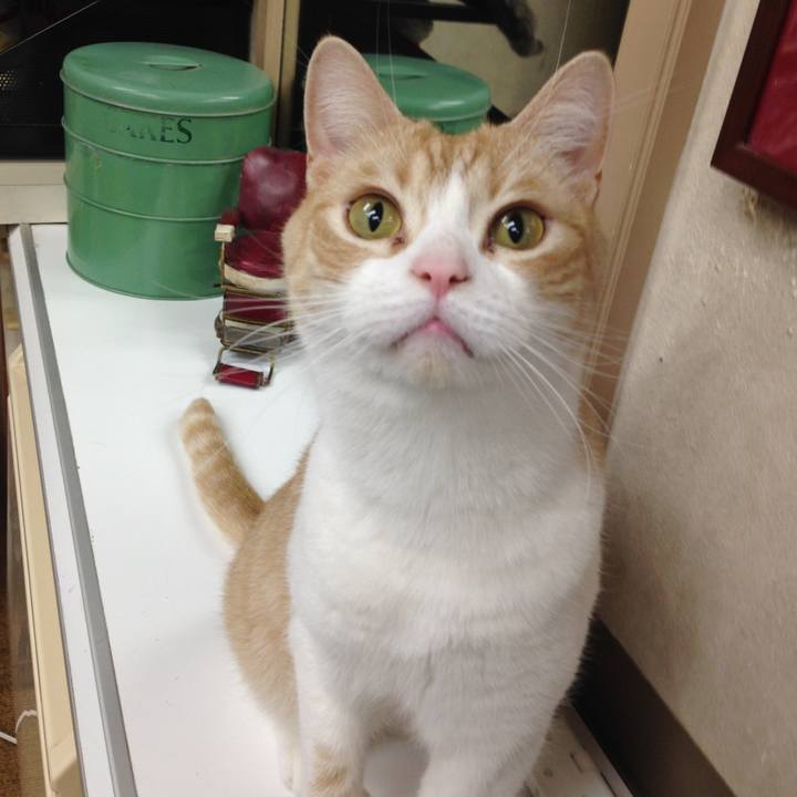 C4f0d682 db94 40c1 91c0 55ade9c455cb