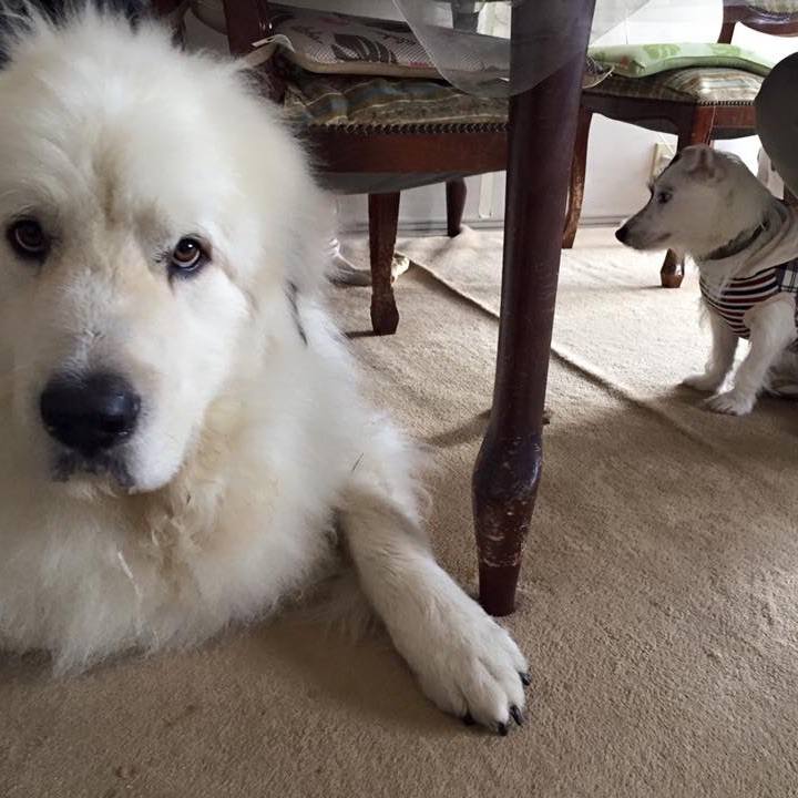 C4f10233 9579 4c03 a8ce 915caebac05c