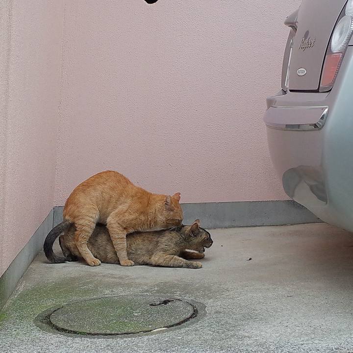 C4f22441 59c6 4a98 98d0 7d9bdcd7a4af