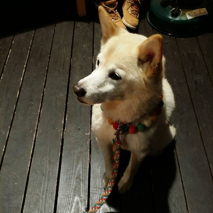 C4f22fb4 0de5 48a9 a044 de4dd32fbdd2