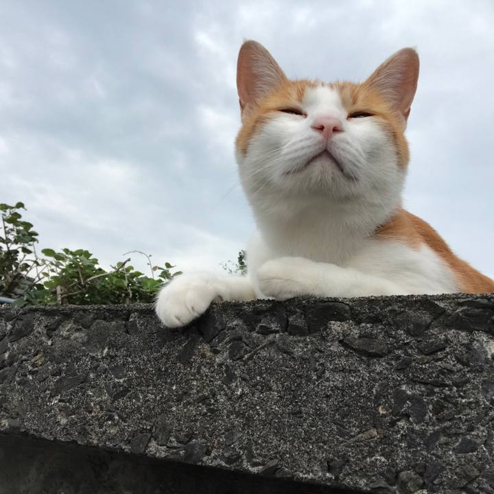 C4f2a26f 39fd 4c77 a5e9 af05563e6dfb