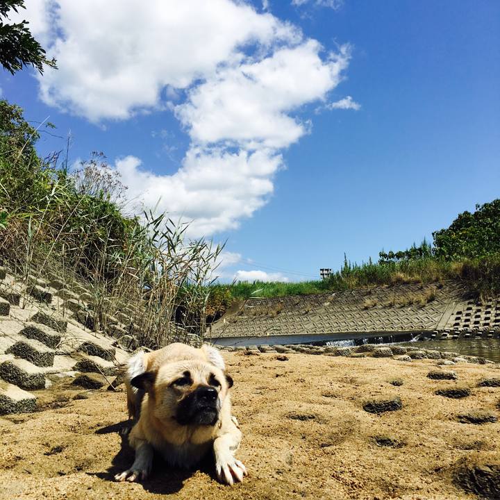 C4f2a912 0c49 4f17 bd62 3f6e3dfbc5f6