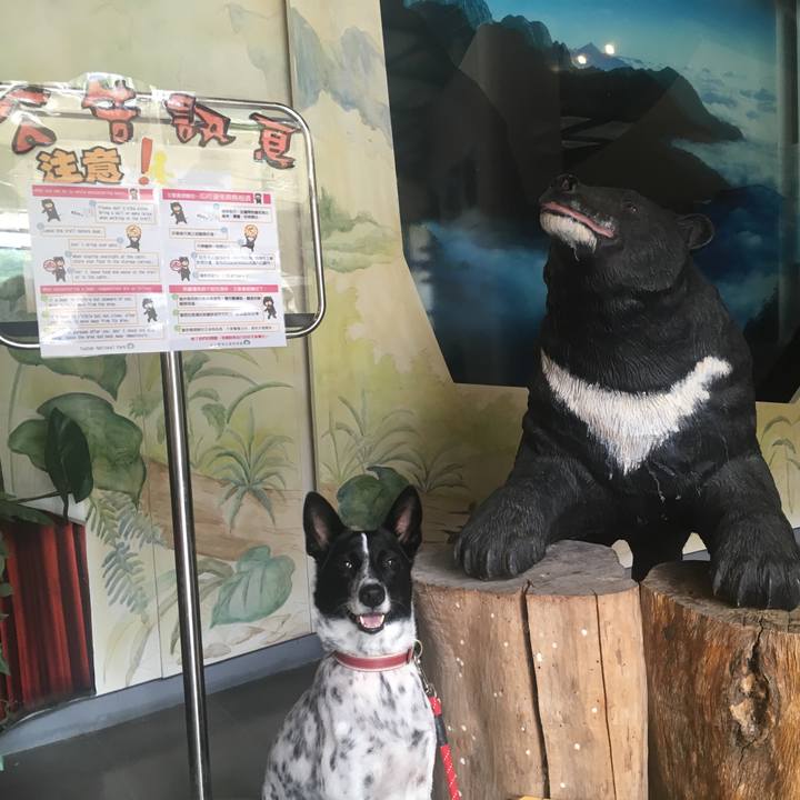 C4f30836 cbc3 4d38 ac54 59495306e513