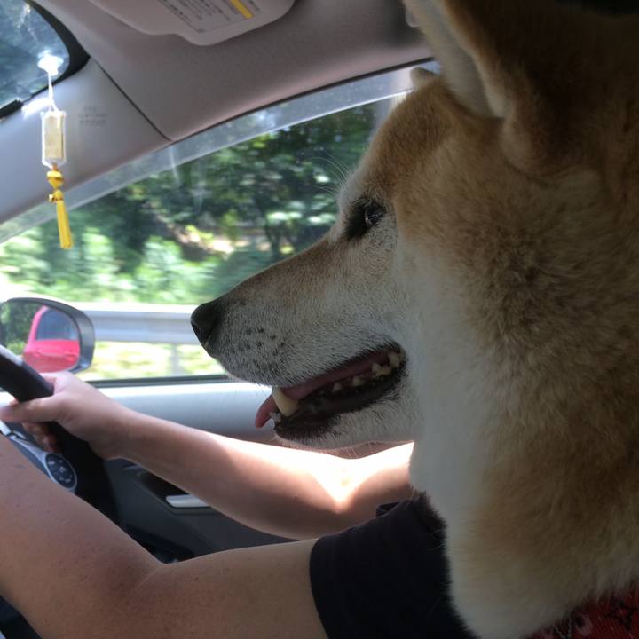 C4f42b2d 1a76 4752 b8e7 d5e3a27e990e