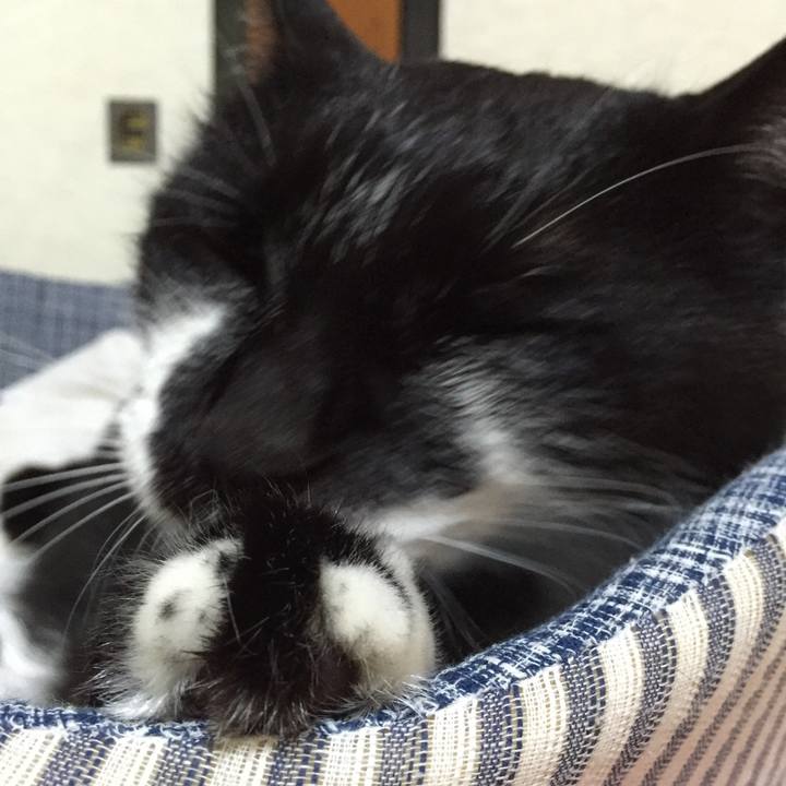 C4f4685d ca12 4c95 8bb4 e12d4e25a851