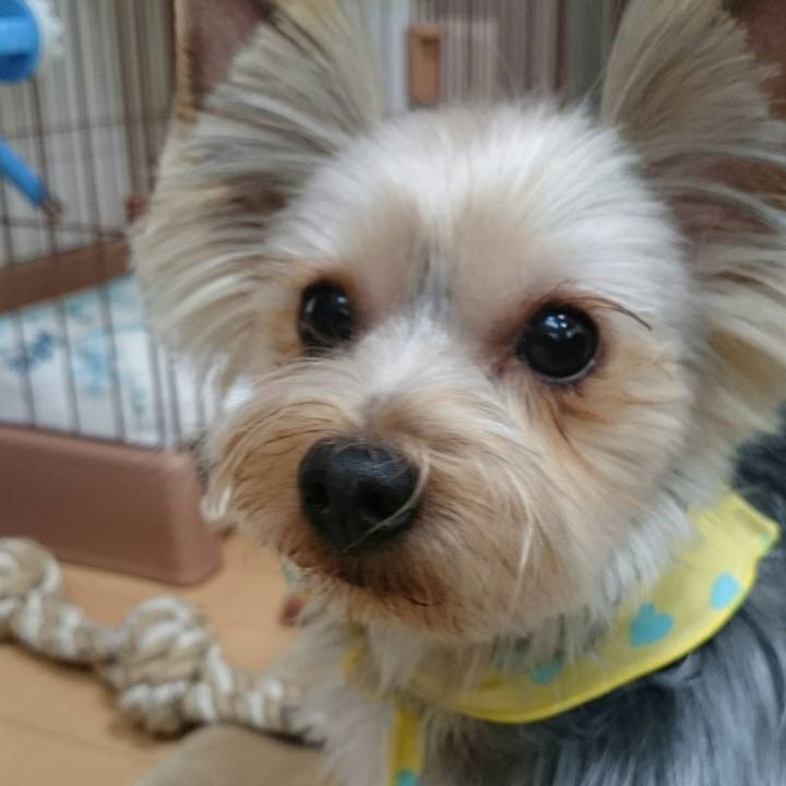 C4f48edb 3c97 41fa ac24 c825329c6ff1