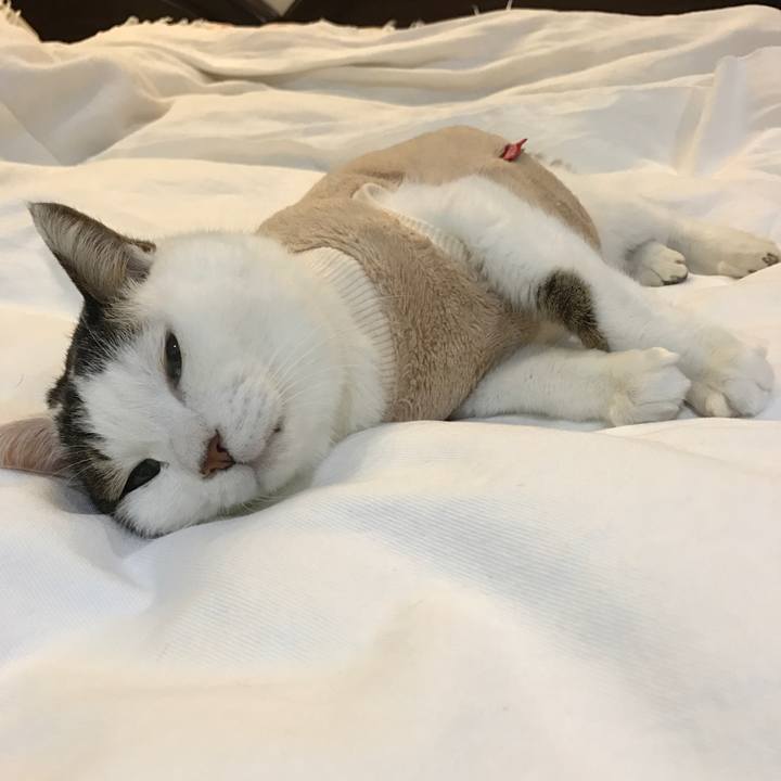 C4f49676 b446 4e11 8af5 4971e9386dab