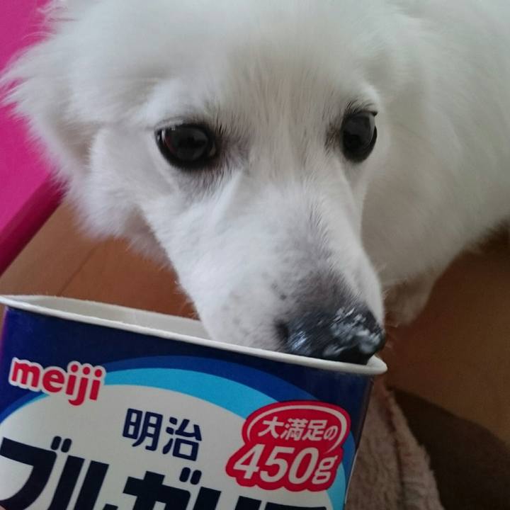 C4f4f18d 7682 4e95 bb90 71a6b26fe352