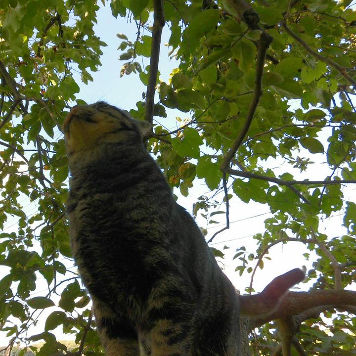 C4f656a4 4ceb 4d09 b5d7 5cffa1c7465e