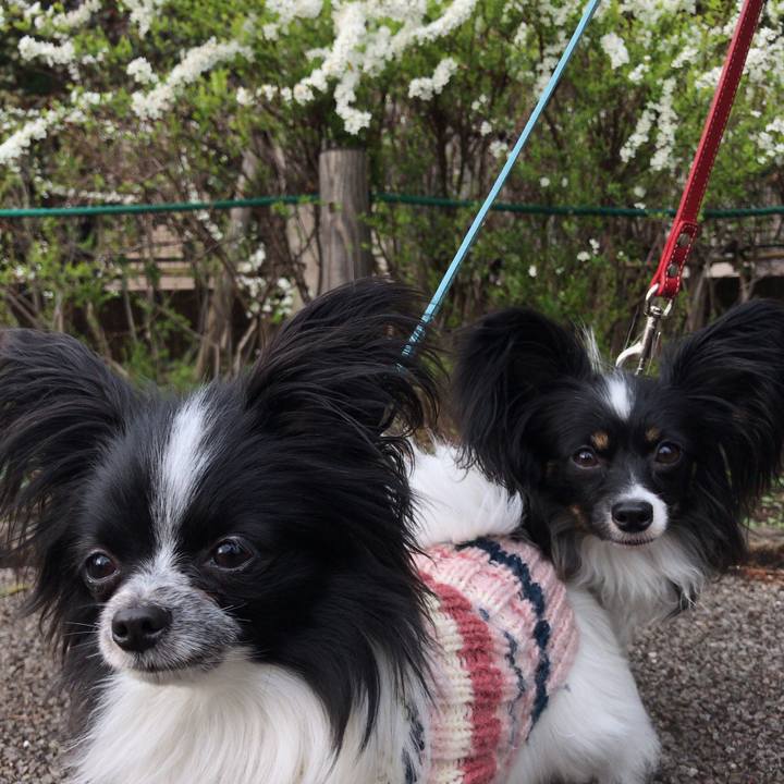 C4f6c68b 93aa 4530 9fe9 c2e2994f1d92