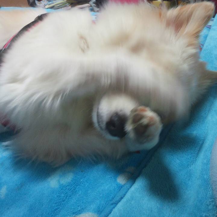 C4f6d03b cdb0 494e bce1 67081891bed5