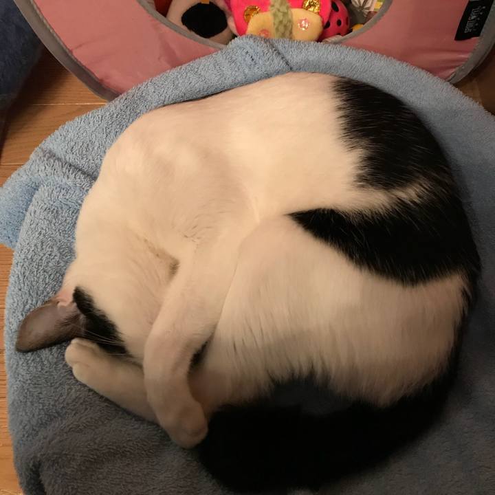 C4f71590 a2b7 4aef 985c 510402827b49