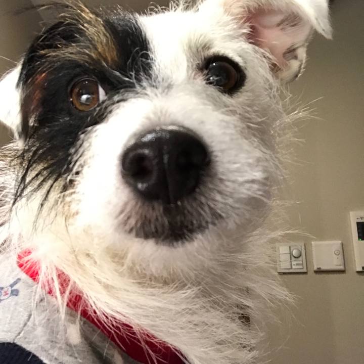 C4f7dbb0 5e28 4cb6 ac7c 6f75d9210455