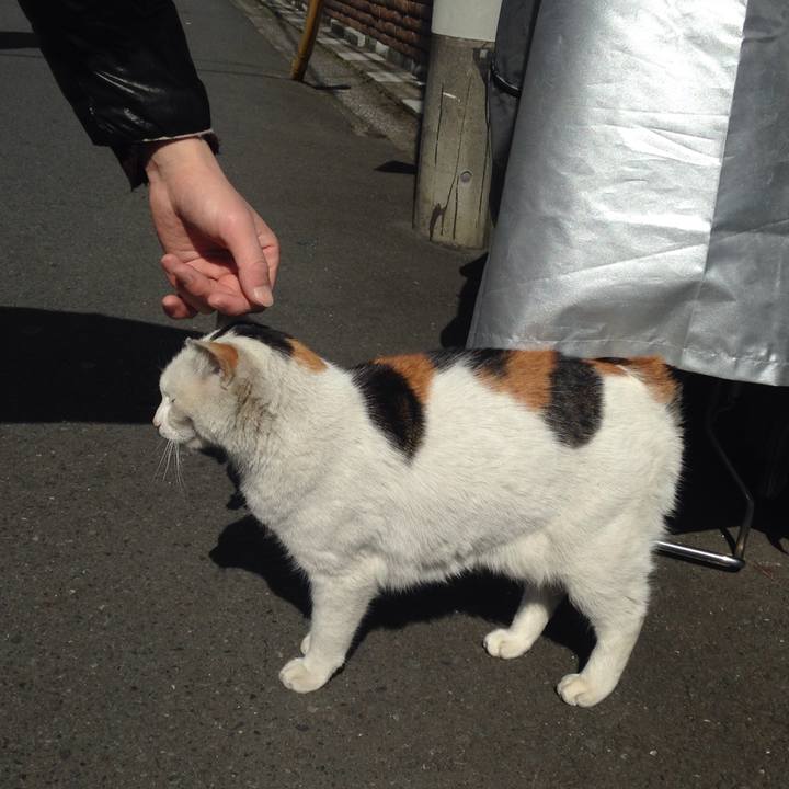 C4f828d0 2a2b 43c1 a06c 6cbea44f5a04