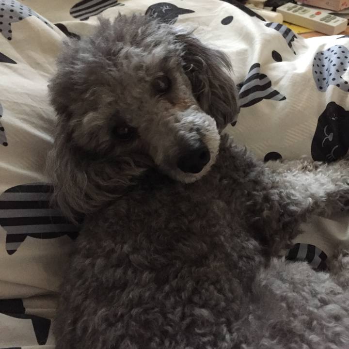 C4f830c3 e793 4327 9511 4e554ac4370f