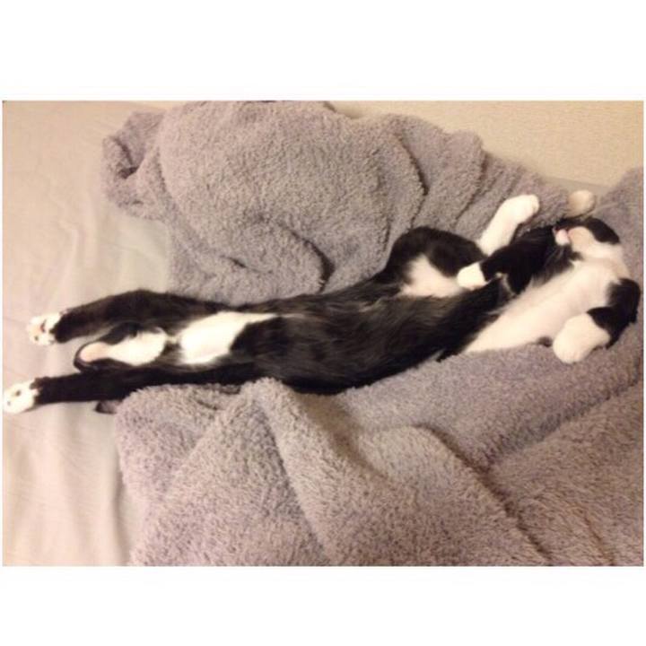 C4f890a8 89ce 44a9 a4c3 7dc5caa2f941