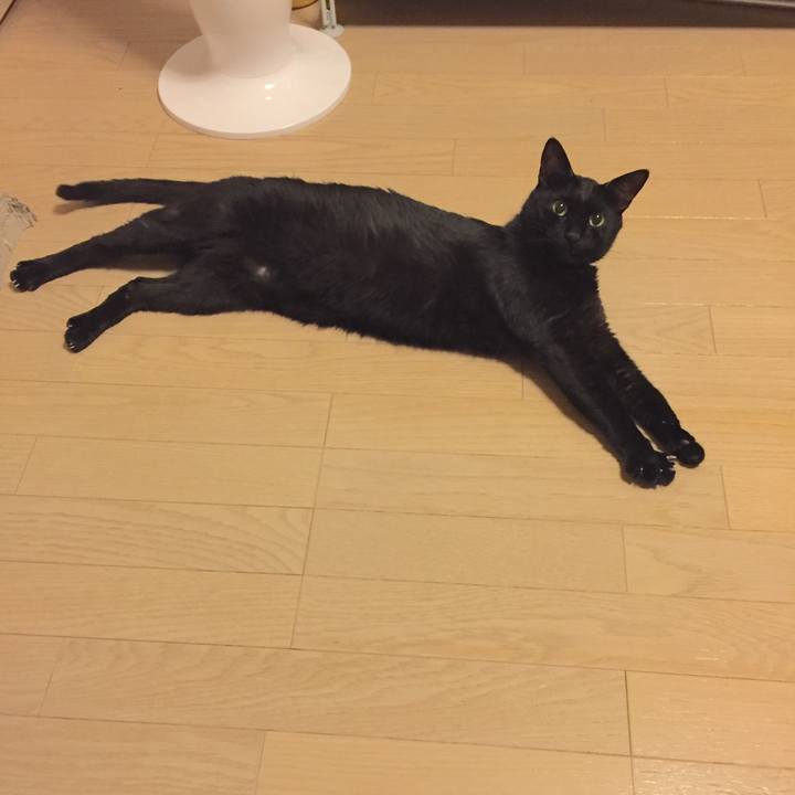 C4f8e474 5ee9 4cd5 87af bbe5ce82ba1d