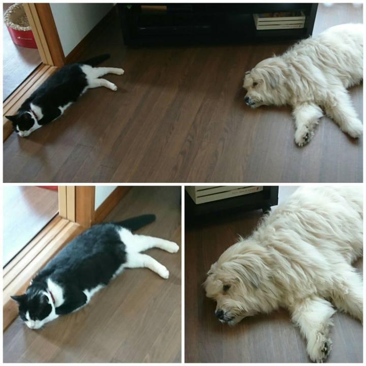 C4f960ab 718c 406b b721 33e35f9821b3