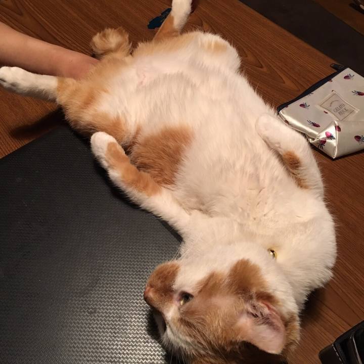 C4f97ac4 186f 43a1 b8da ada5fae2ceef