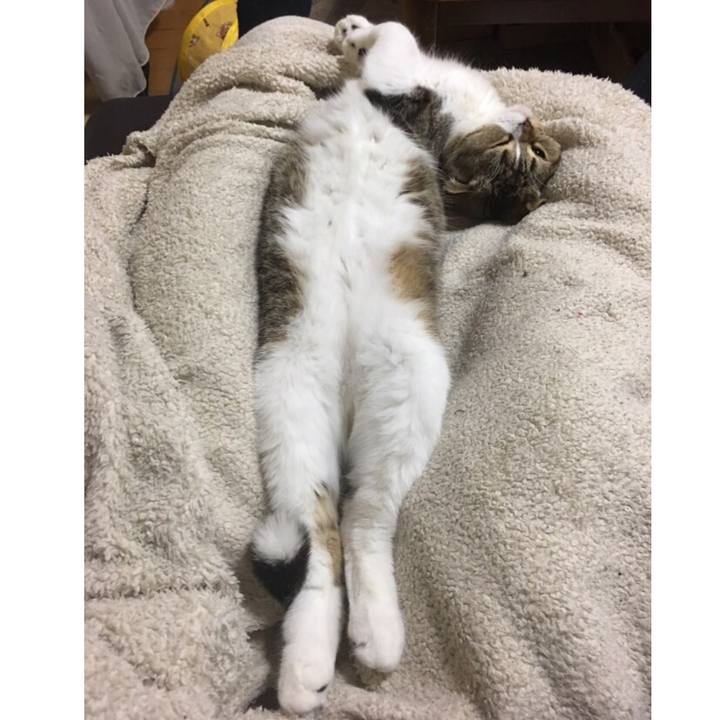 C4f98823 0b01 4888 a307 ba1c6347bdd1