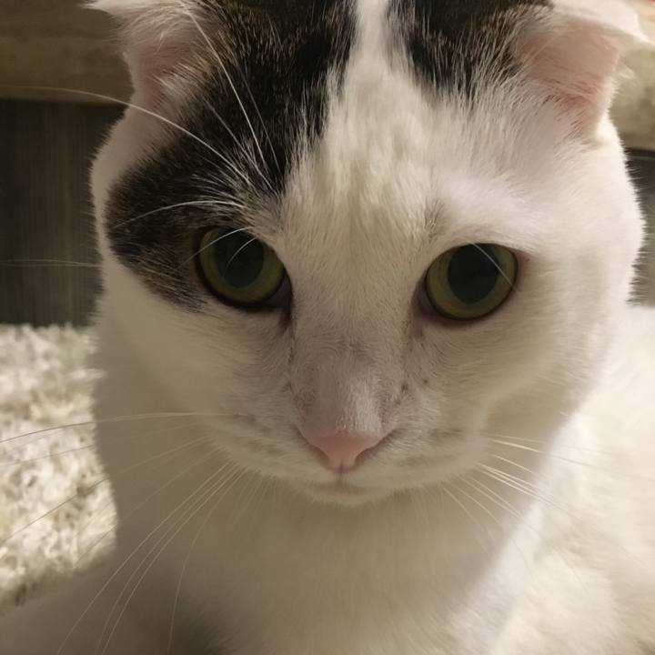 C4f9d326 2059 49d5 9814 625db8f071c5