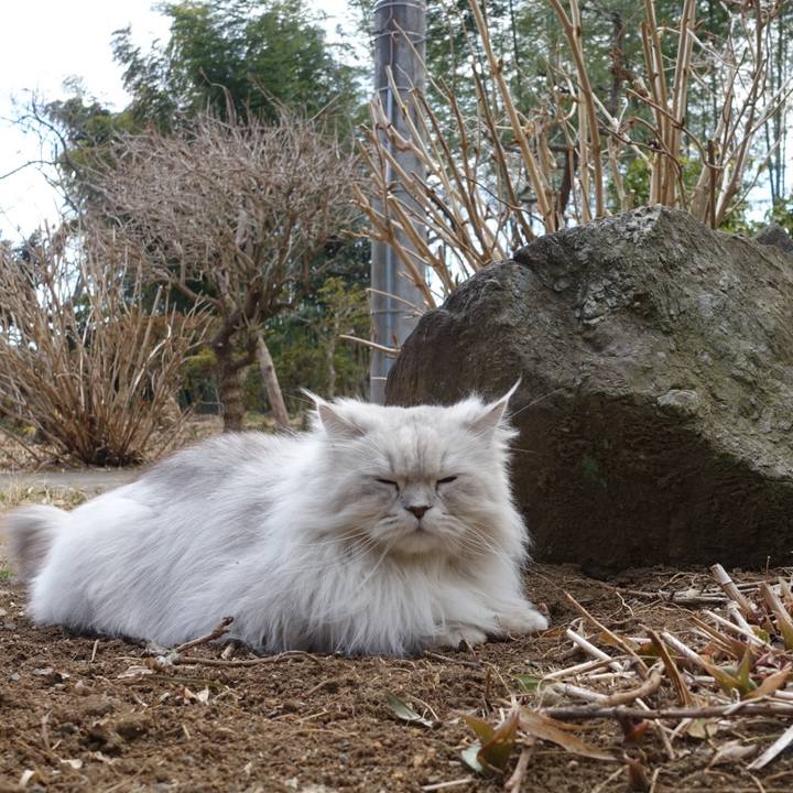 C4fa35c4 c75b 4974 a35e aba00e33891a