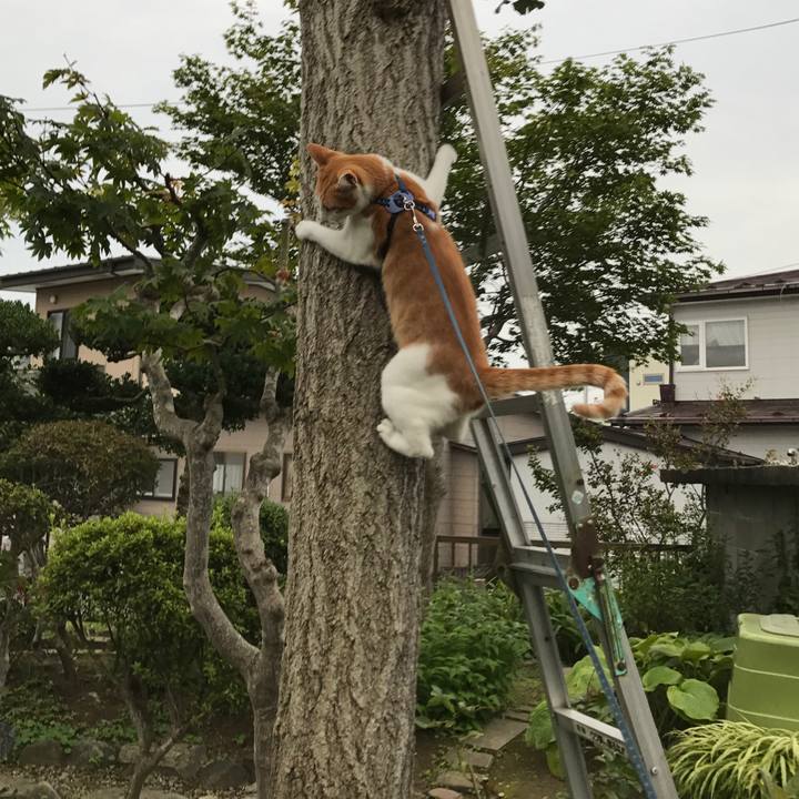 C4fa411d e8d6 4d5e 94c3 d3b3482b453b