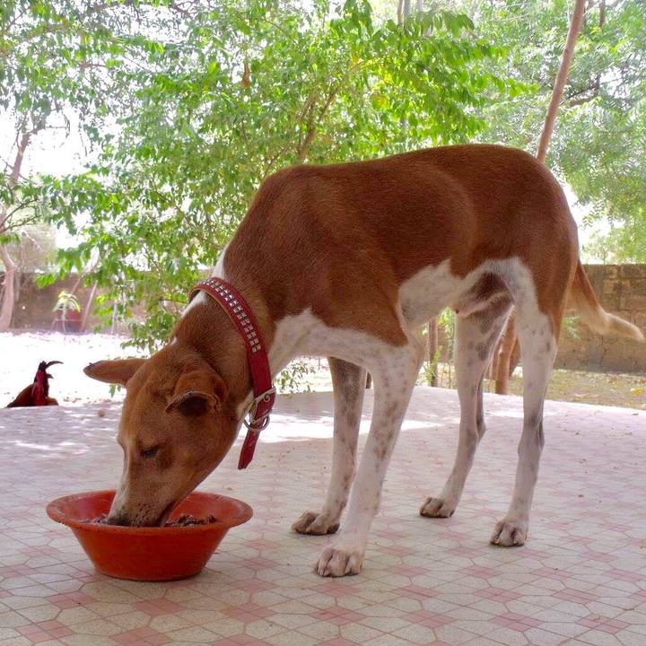 C4faa558 9825 4f83 9ee1 6412d01e34f9