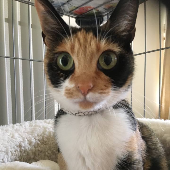 C4fad1ea 570b 48e8 b3dc 2a4dbe3b94cc