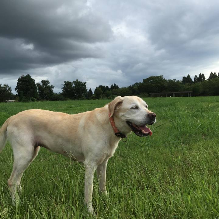 C4fb0978 c9a0 46c3 b674 6db0e7c456ba