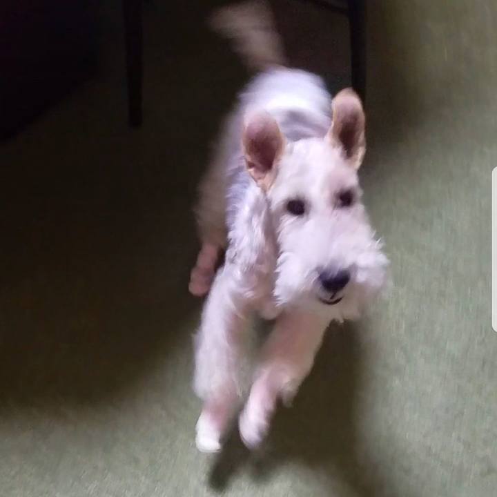 C4fb4747 6bec 4147 9bbc 2890c56b00ee