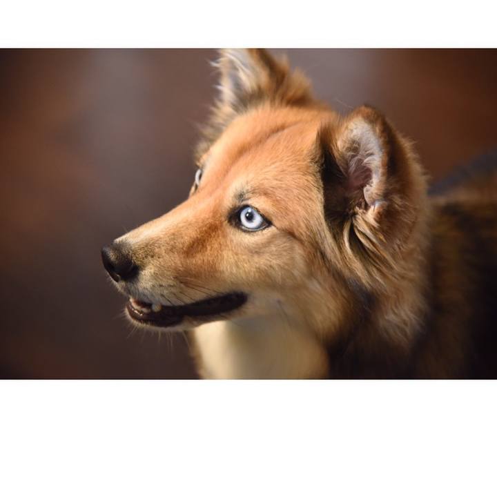 C4fb7ad7 8108 4e3d 9158 5ca3484a64e1