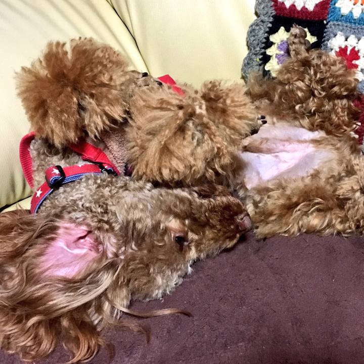 C4fc1d75 762d 4645 9010 710069d7e88e